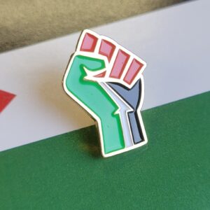 Palestine Flag Fist Shape - Pin