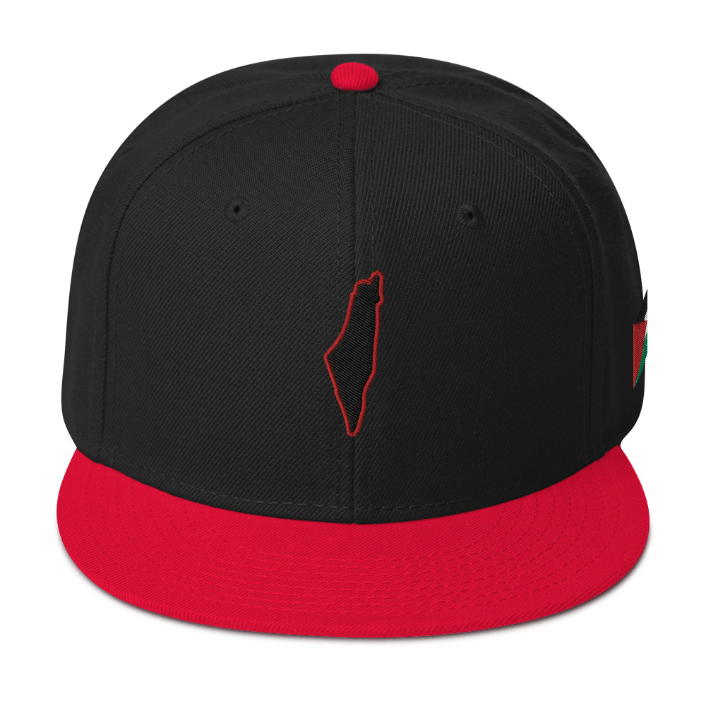 Gaza Outline & Palestine Flag - Snapback Hat - Billede 13